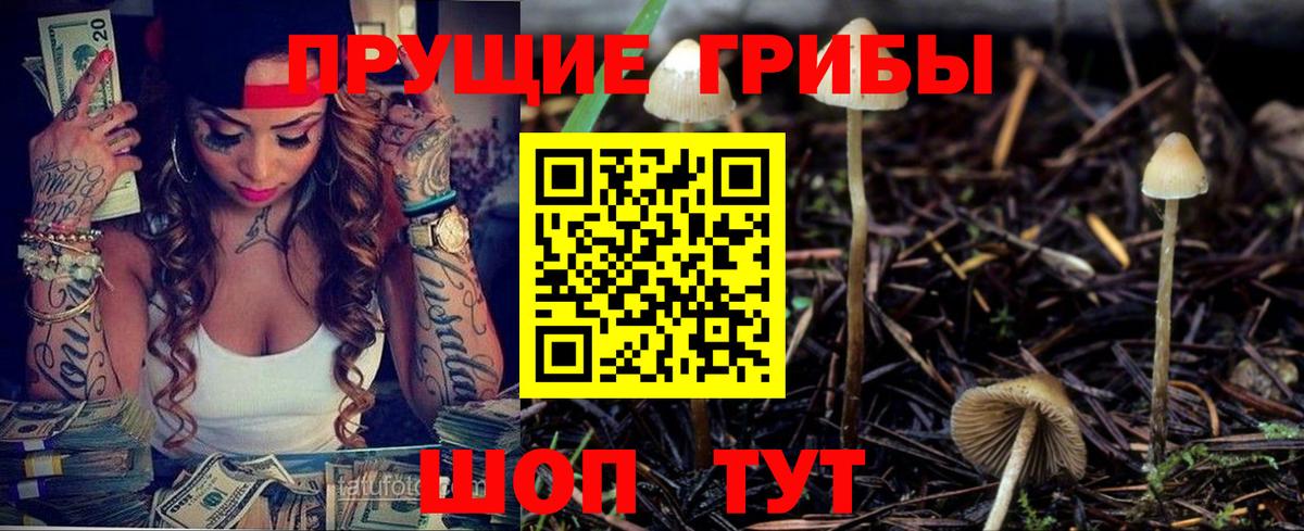 Галлюциногенные грибы Psilocybe  Псилоцибиновые грибы ЛСД  Вход с VPN  как найти наркотики  Усолье-Сибирское 